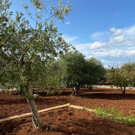 Viliino Lucia 펜션 푸티냐노