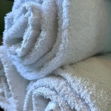 Viliino Lucia 펜션 *