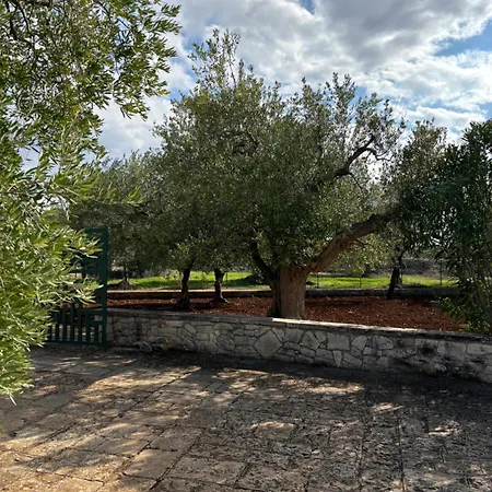 Viliino Lucia * Putignano