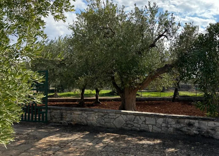 Viliino Lucia * Putignano